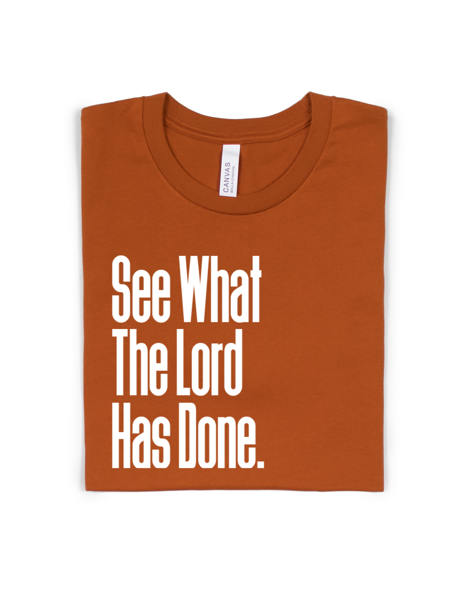 SEE WHAT THE LORD HAS DONE ADULT UNISEX TEE