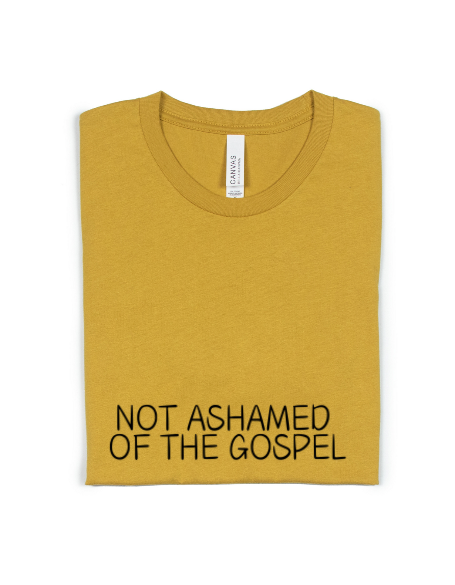 NOT ASHAMED OF THE GOSPEL ADULT UNISEX TEE