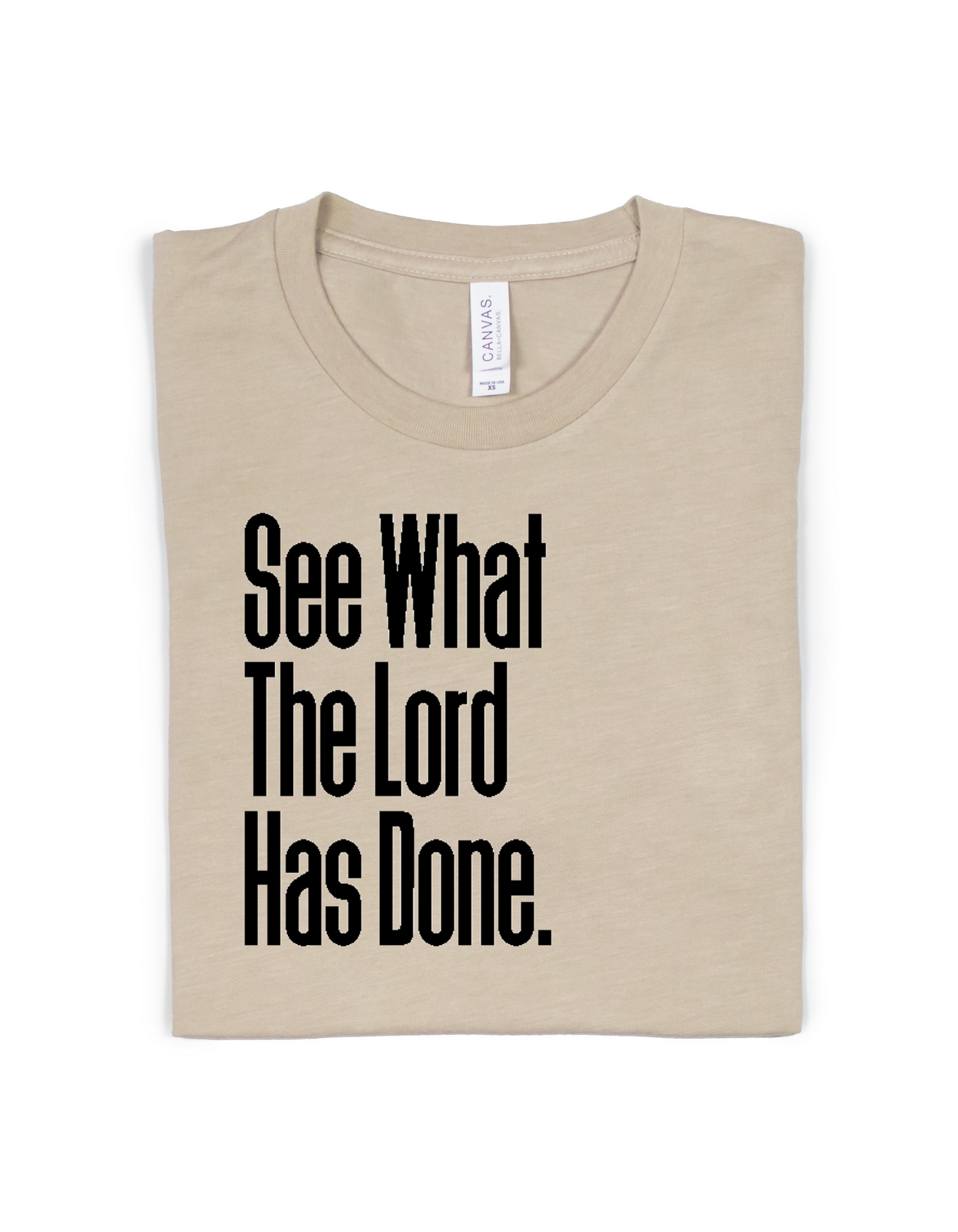 SEE WHAT THE LORD HAS DONE ADULT UNISEX TEE